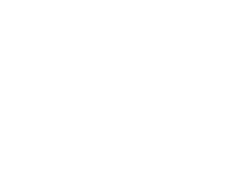 ASN Labs logo
