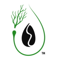 Deeper Than Roots logo