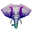 Exotic Elephant logo