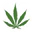 Jupiter Grass logo