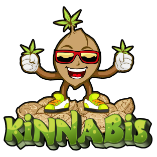 Kinnabis logo