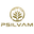 Psilvam logo